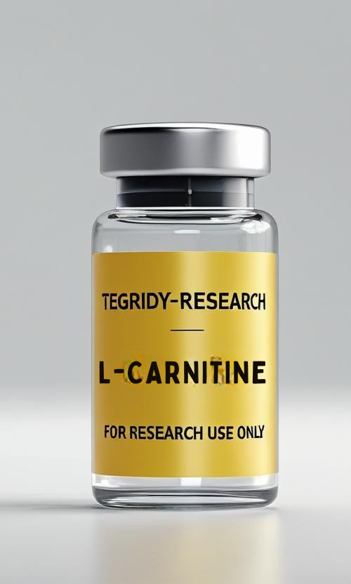 L-CARNITINE 500MG